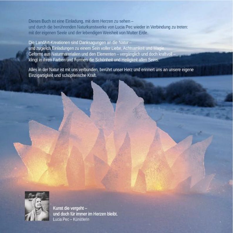 Natur & Seele Landart Wald Buch – Natur Kunst Mandala, Kreative Inspiration Softcover image 2