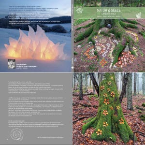 Natur & Seele Landart Wald Buch – Natur Kunst Mandala, Kreative Inspiration Softcover image 3