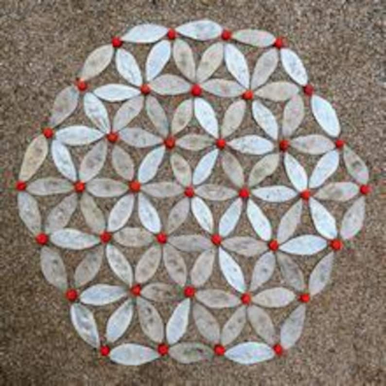 Natur & Seele Landart Wald Buch – Natur Kunst Mandala, Kreative Inspiration Softcover image 12