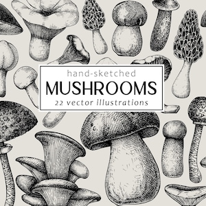 Bocetos de setas vintage. Estampado botánico, póster de naturaleza, decoración de otoño. Dibujos lineales de setas del bosque. Decoración de otoño. Imágenes Prediseñadas de comida vectorial