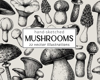 Arte vectorial de hongos, boceto científico de hongos, impresión botánica dibujada a mano, decoración de bosque, obra de arte vintage, dibujo de contorno, clipart de otoño