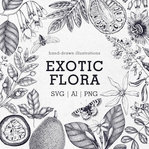 Plantas de frutas exóticas, arte de esboço vintage, flores SVG de casamento tropical, moldura floral, vetor de gravura, folha de palmeira SVG, verão Clipart