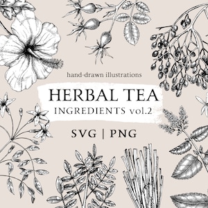 Herbal Tea Botanical Print, Medicinal Plants, Herbs And Spices, Flowers SVG Bundle, Organic Logo, Vintage Artwork, Outline Drawing