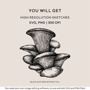 May include: Black and white line art illustration of a cluster of oyster mushrooms. The image is labelled "YOU WILL GET HIGH RESOLUTION SKETCHES SVG, PNG | 300 DPI BLACK OUTLINES WITHOUT FILL You need your own image editing software, to use and edit SVG and PNG files!"