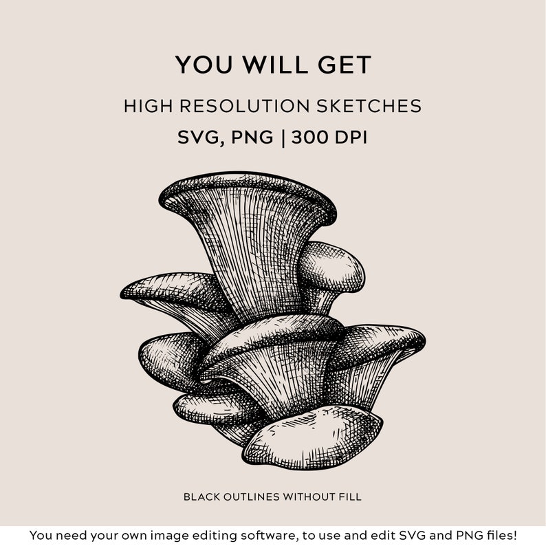 May include: Black and white line art illustration of a cluster of oyster mushrooms. The image is labelled "YOU WILL GET HIGH RESOLUTION SKETCHES SVG, PNG | 300 DPI BLACK OUTLINES WITHOUT FILL You need your own image editing software, to use and edit SVG and PNG files!"