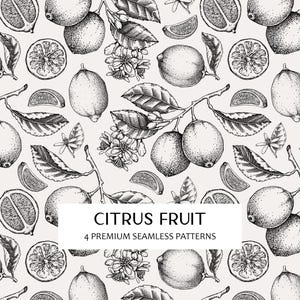 Könnte beinhalten: Schwarz-weißes nahtloses Muster mit detaillierten Illustrationen von Zitronen, Zitronenscheiben, Blättern und Blüten. Der Text "CITRUS FRUIT" und "4 PREMIUM SEAMLESS PATTERNS" wird auf einem weißen Rechteck angezeigt.