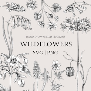 Clipart fleurs sauvages, SVG botanique vintage, esquisse florale, décoration printanière, impression d'Art Nature, Clipart fleurs dessinés à la main, Pâques SVG, PNG plante