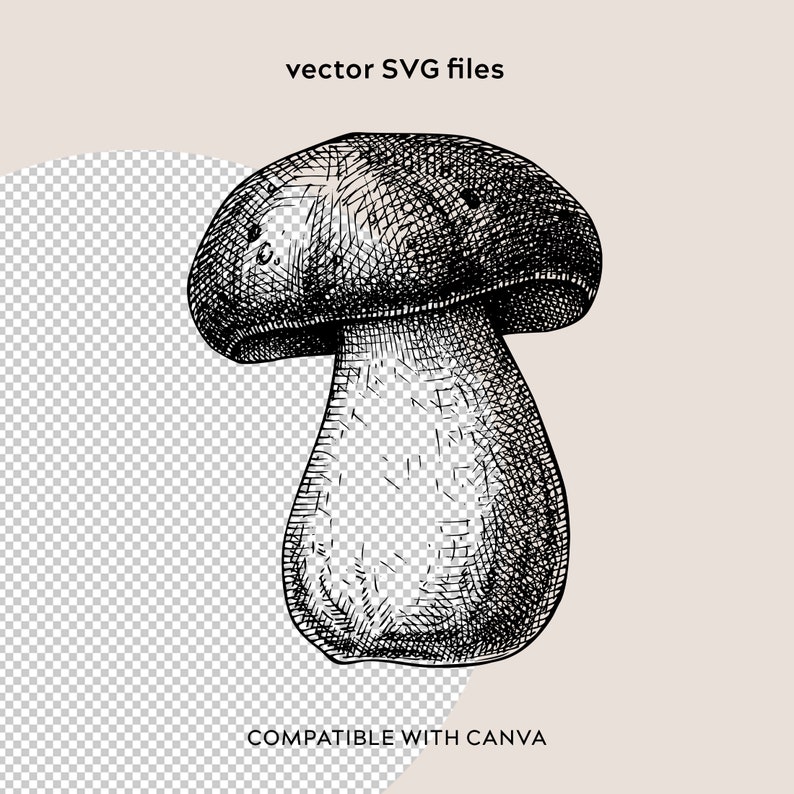 May include: Black and white line drawing of a mushroom with a rounded cap and a thick stem.