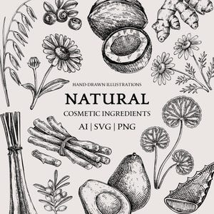 Logo disegnato a mano per la cura della pelle naturale, disegno di contorno di erbe medicinali, fiore in formato SVG, icona di bellezza in formato SVG, clipart floreale, opera d'arte vintage, cura di sé