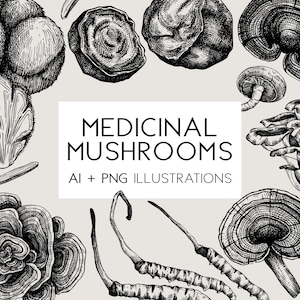 Medicinale paddenstoelen, magische paddenstoelen, botanische clipart, kruidengeneeskunde, vintage schetskunst, vectorafbeeldingen, handgetekende planten PNG