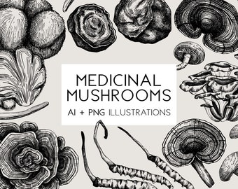 Medicinal Mushrooms PNG, Magical Mushrooms, Botanical Print, Hand Drawn Medicinal Plants, Scientific Sketch Vector Art, Vintage Artwork