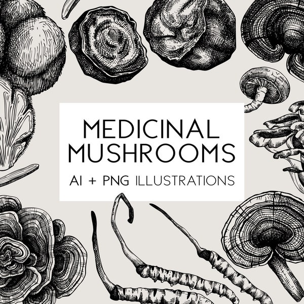 Medicinale paddenstoelen, magische paddenstoelen, botanische clipart, kruidengeneeskunde, vintage schetskunst, vectorafbeeldingen, handgetekende planten PNG