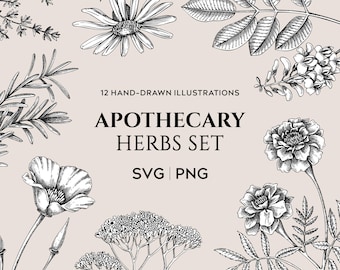 Apothecary Herbs SVG Bundle: Hand Drawn Medicinal Herb Plants Vector Illustration Vintage Clipart