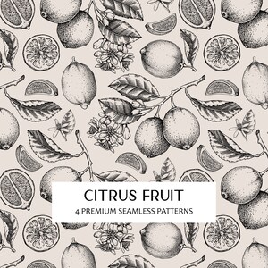 Padrão sem emenda de frutas de limão PNG, textura sem costura de plantas exóticas, flores cítricas desenhadas à mão, esboço tropical, impressão em tecido de cozinha