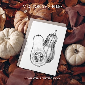 May include: Black and white line drawing of two butternut squash on a white card with the text "VECTOR SVG FILES" and "COMPATIBLE WITH CANVA". The card is on a background of fall leaves and gourds.