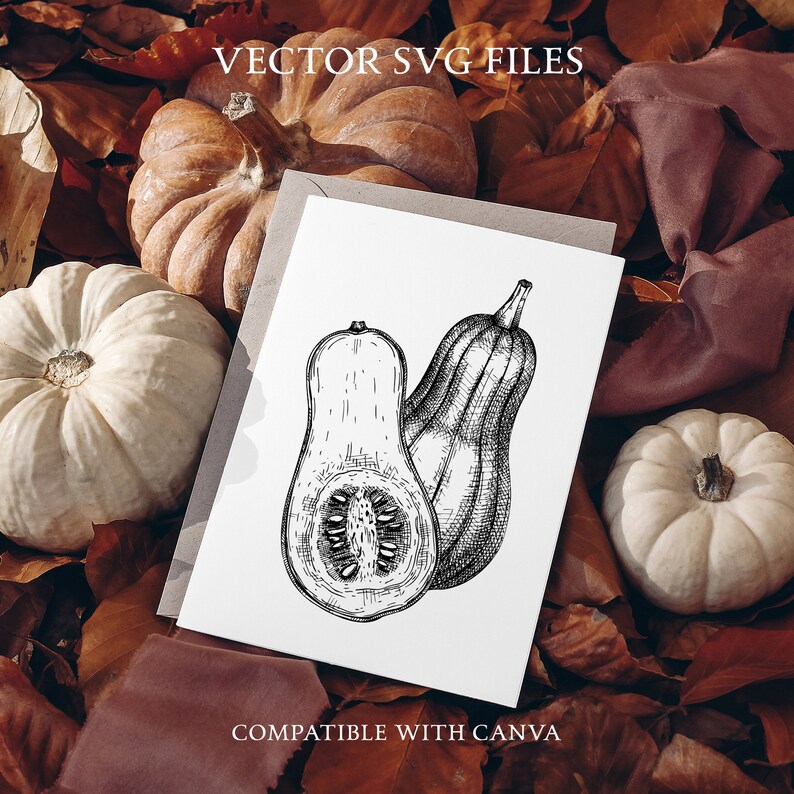 May include: Black and white line drawing of two butternut squash on a white card with the text "VECTOR SVG FILES" and "COMPATIBLE WITH CANVA". The card is on a background of fall leaves and gourds.
