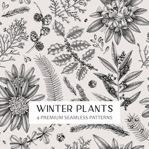 Weihnachten Muster: Handgezeichneter Winter Hintergrund PNG (Digitaler Download, botanischer Druck)