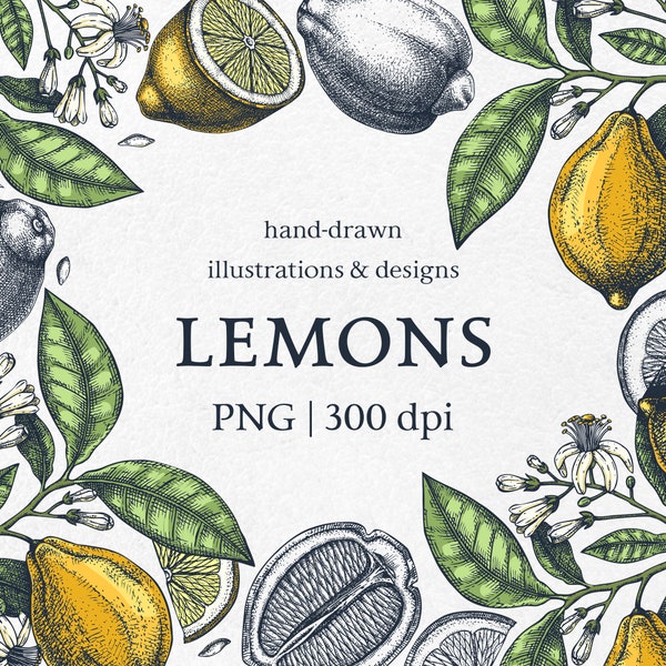 Lemon Print, Exotic Fruit Png, Summer Decor, Tropical Citrus Png Design Template, Seamless Pattern Png, Vintage Border, Fruit Plant Clipart