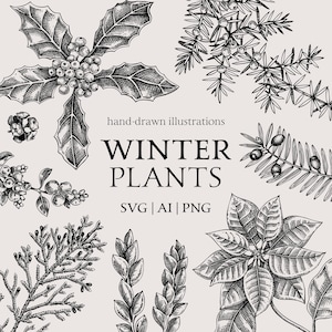Plantes d'hiver SVG, dessin botanique, décoration de Noël vintage, croquis d'arbre dessiné à la main, gravure des cliparts hiver vectoriel, lot de vacances SVG