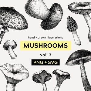May include: A set of hand-drawn illustrations of various mushrooms in black and white. The illustrations are labelled "Mushrooms vol. 3 PNG + SVG".
