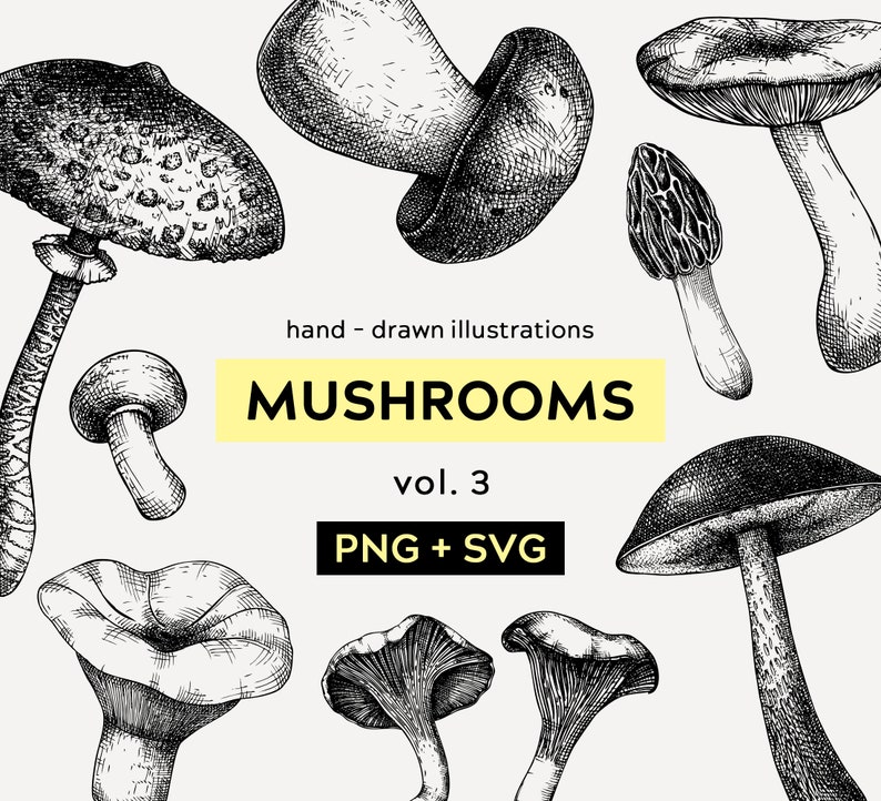 May include: A set of hand-drawn illustrations of various mushrooms in black and white. The illustrations are labelled "Mushrooms vol. 3 PNG + SVG".
