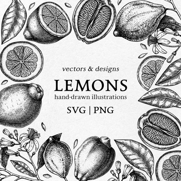 Lemon SVG files, Citrus Fruit Decor, Summer Wreath Design, Seamless Pattern PNG, Tropical Sketch Sticker, Botanical Drawings, Vintage Border