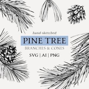 Hand Drawn Pine Tree Vector Files, Pine Cone Vintage Sketch Art, Christmas Tree Outline Drawing, Winter Decor, Plants SVG Botanical Clipart