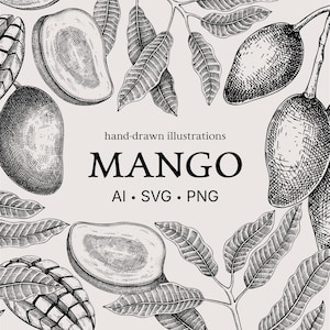May include: Black and white hand-drawn illustration of mangoes and leaves. The image includes whole mangoes, mango slices, and detailed foliage. The word "MANGO" is prominently displayed, along with "AI • SVG • PNG" text.