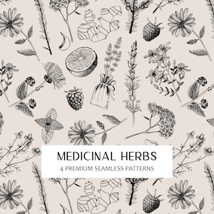 Padrão sem emenda de ervas medicinais PNG, padrão vintage de fitoterapia, papel digital floral, textura sem costura, impressão em tecido desenhado à mão