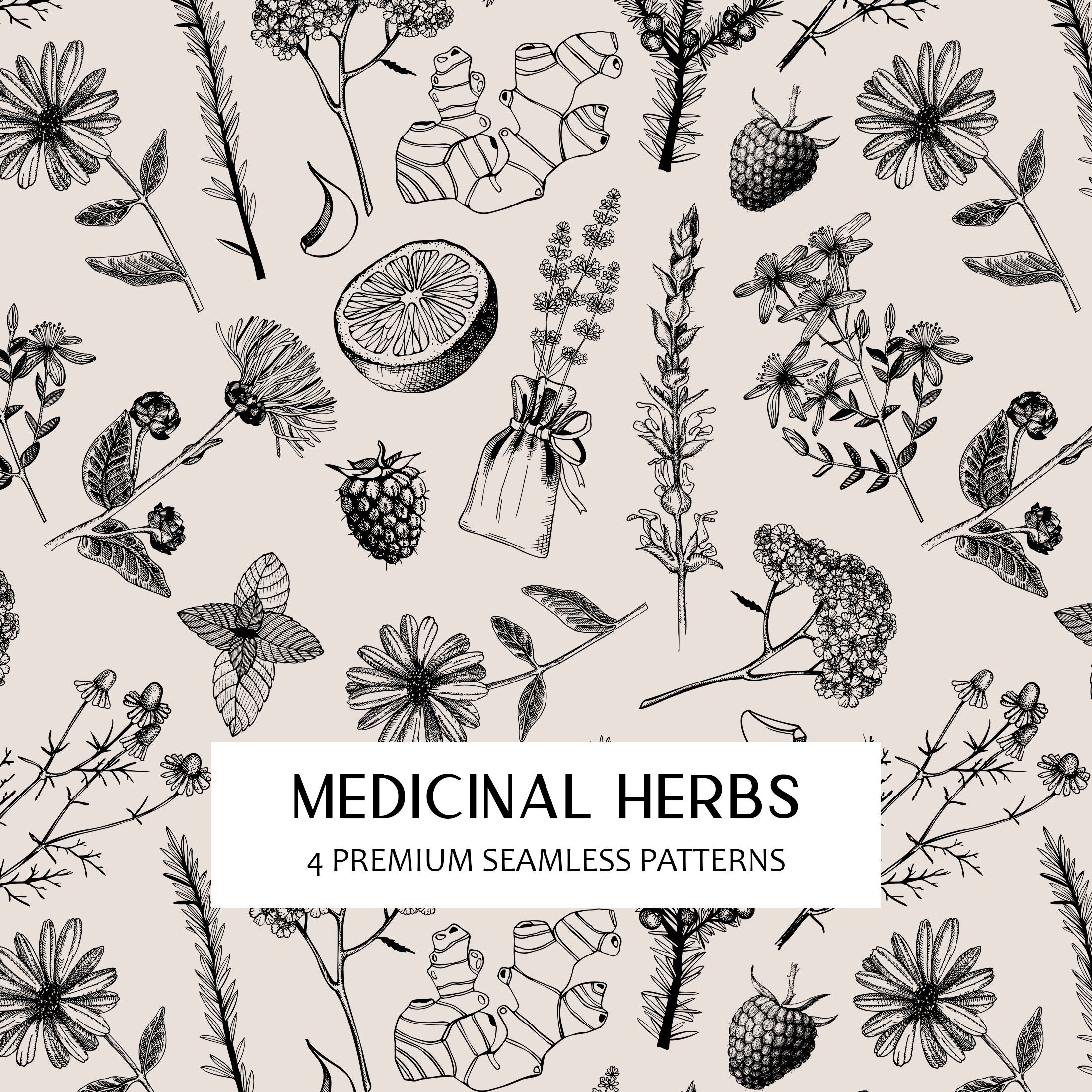 Medicinal Herbs Seamless Pattern PNG: Floral Clipart, Hand Drawn