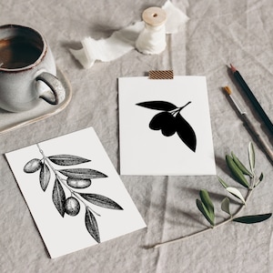 Pode incluir: Duas ilustra&ccedil;&otilde;es em preto e branco de ramos de oliveira com folhas e azeitonas. As ilustra&ccedil;&otilde;es est&atilde;o em cart&atilde;o branco e est&atilde;o sobre uma superf&iacute;cie cinza claro.