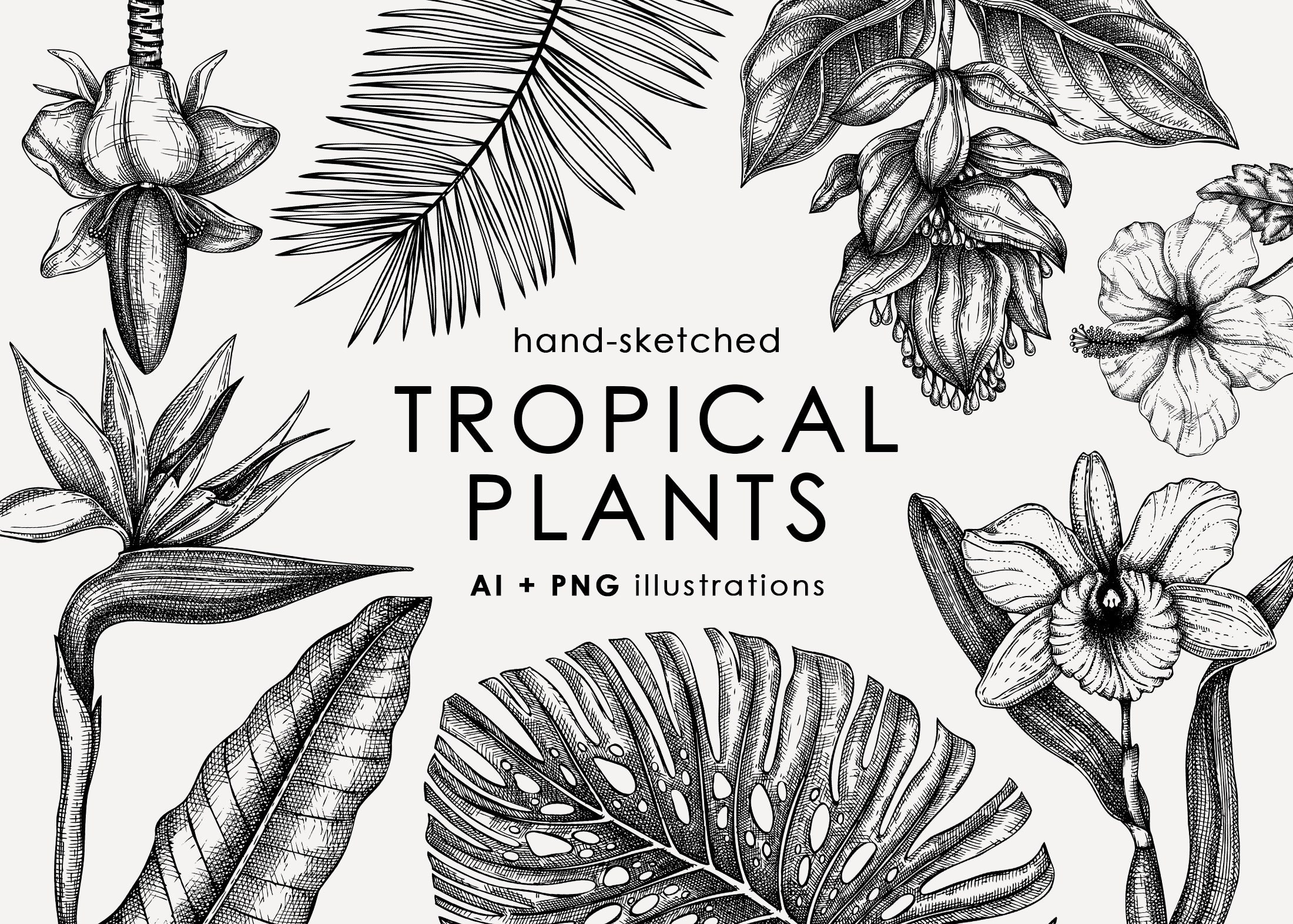 Tropical Flowers Sketch. Exotic Plants Vector. Monstera Leaf Etsy