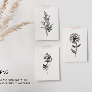 Medicinal Herbs Botanical SVG: Hand Drawn Wildflower Clipart, Vintage Sketch Art, Tea Herbs PNG image 3