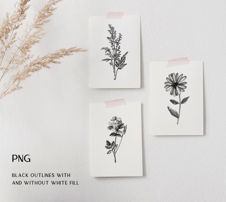 Medicinal Herbs Botanical SVG: Hand Drawn Wildflower Clipart, Vintage Sketch Art, Tea Herbs PNG image 3