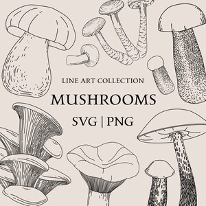 Pacchetto SVG di Mushroom Line Art: funghi della foresta disegnati a mano (PNG)