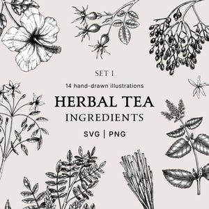 Herbal Tea Ingredients SVG Set: Hand Drawn Vintage Botanical Herbs and Spices for Packaging