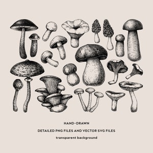May include: A collection of hand-drawn illustrations of various mushrooms in black and white. The mushrooms are drawn in a realistic style and include different shapes, sizes, and textures. The illustrations are perfect for use in a variety of creative projects, such as greeting cards, invitations, and scrapbooking.