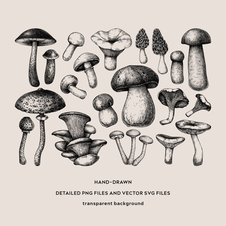 May include: A collection of hand-drawn illustrations of various mushrooms in black and white. The mushrooms are drawn in a realistic style and include different shapes, sizes, and textures. The illustrations are perfect for use in a variety of creative projects, such as greeting cards, invitations, and scrapbooking.