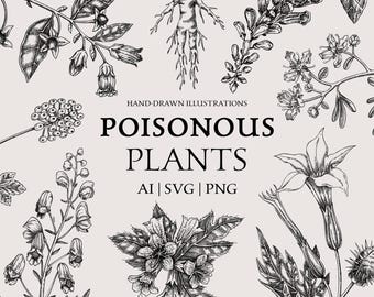 Poisonous Witch Herbs SVG: Hand-Drawn Botanical Art (Digital Download