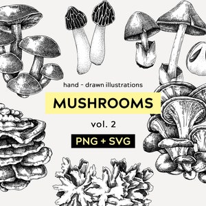Mushroom SVG, Fungus Scientific Sketch Vector Art, Hand Drawn Medicinal Plants, Forest SVG, Woodland Decor, Botanical Print, Magic Mushrooms
