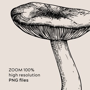 May include: Black and white line drawing of a mushroom with a large cap and a thick stem.