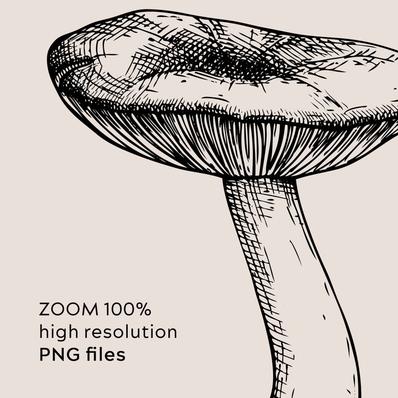 May include: Black and white line drawing of a mushroom with a large cap and a thick stem.