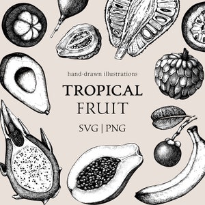 Op de afbeelding: Zwart-wit illustratie van diverse tropische vruchten, waaronder avocado, papaya, drakenfruit en een banaan. De tekst "TROPICAL FRUIT" staat vetgedrukt, met daaronder "SVG | PNG", allemaal in handgetekende stijl.