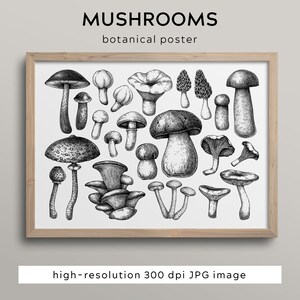 Estampado botánico de setas. 70x50. Decoración de otoño. Arte de pared grande de cocina de granja. Decoración de salón. Bosquejo de setas. cartel de otoño