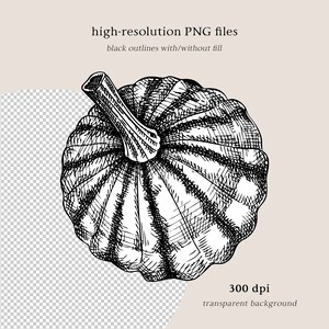 May include: Black and white line drawing of a pumpkin with a detailed, textured surface. The pumpkin is drawn in a realistic style with a focus on the intricate details of the skin.