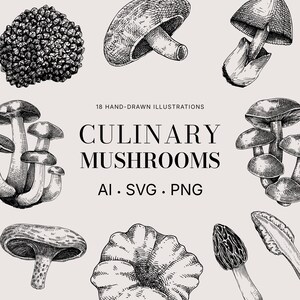 Wilde paddestoelen SVG-set: handgetekende champignons vectorillustraties, morille, truffel clipart