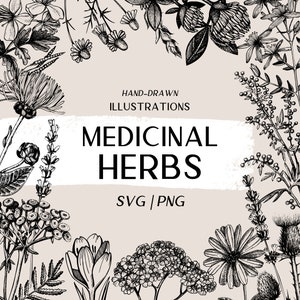 Erbe medicinali botaniche SVG, incisione vettoriale, fiori di campo SVG ClipArt disegnate a mano, etichette per farmacia a base di erbe, arte schizzo vintage