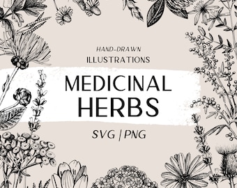 Medicinal Herbs Botanical Print: Wildflowers SVG, Hand Drawn Medicinal Plants, Apothecary Labels