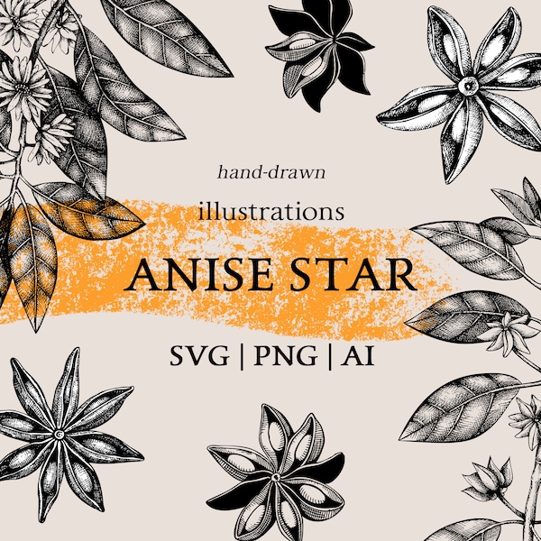Star Anise, Pumpkin Spice Labels, Vintage SVG Files, Exotic Plant Vector, Kitchen Decor, Hand Drawn Clip Art, Food Illustration, Tea Herbs