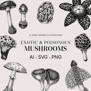 Exotische paddestoelen SVG-set, giftige paddestoel vectorkunst, handgetekende schimmels clipart